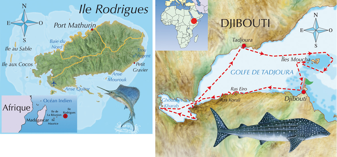 mappe
